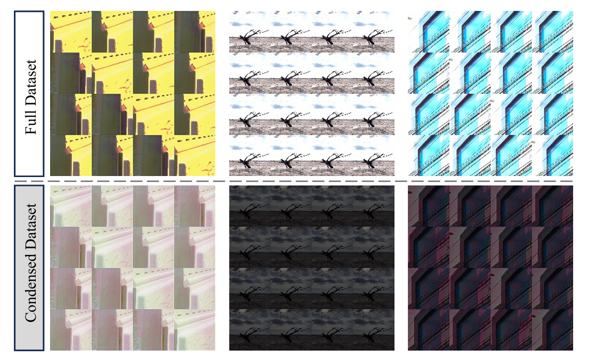 Visual comparison between the full dataset and learned condensed dataset